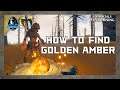 How to Find Golden Amber // Immortals Fenyx Rising