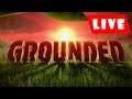 Pass On Grass Unless You're Building A Base | Grounded #2