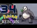 Pokemon Reborn Nuzlocke: Part 34 - Blacksteam Factory
