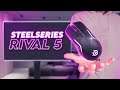 Steelseries Rival 5 Review - a SOLID option!