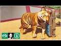 🦁 These Bengal Tiger animations & sounds are incredible! | New Exclusive Footage | Planet Zoo News