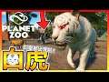 出現有【白化】的動物!! 竟然是白色的老虎😱!!【動物園之星 Planet Zoo】全台唯一白化症的動物園☝ #20