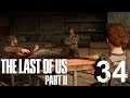 The Last of Us Part 2 #34 - Auf Patrollie mit Joel (Let's Play/Streamaufzeichnung/deutsch)