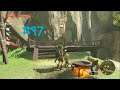The Legend of Zelda: Breath of the Wild | Part 47 - Side Quests #2