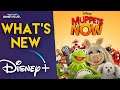 What's New on Disney+ | Muppets Now & Black Is King