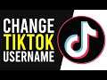 How To Change Your TikTok Username and Display Name