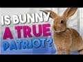 How Well Does an Australian Bunny Know the U.S.? || America Quiz w/ Epicaracacy