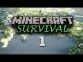 Minecraft Survival ITA | Ep#1 | Nuovo inizio! (Info nei commenti!)