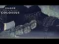 15th Colossus (Argus) - Shadow of the Colossus PS4 Remake Gameplay Part 15