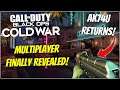Black Ops Cold War Multiplayer FINALLY Revealed! NEW INFORMATION!