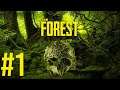 PRIMERA TOMA DE CONTACTO - THE FOREST (PARTE 1)