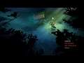 The Flame in the Flood |PS4|