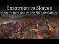 Beastmen vs Skaven - Janet On Occasion vs Dog Shadow Gaming - Total War Warhammer 2 Championship