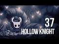 Hollow Knight - Let's Play - 37