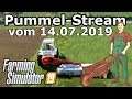 🚜 Rüben sind Bauers Liebling 🐔 - Pummel-Stream vom 14.07.2019 LS19