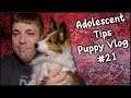 Adolescent Dog Tips - MumblesVideos - Puppy Vlog #21