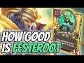 How Good Is Golden Festeroot - Hearthstone Battlegrounds