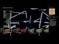 Need For Speed Heat ultimate x1 stream