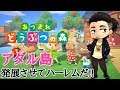 【あつまれどうぶつの森】アダル島は今日も平和です♪