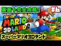 【マリオ3Dランド】真の最終ステージ「裏8-王冠」を開放します Part6【Super Mario 3D Land to Special 8-Crown】