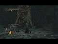 Dark Souls 2 SOTFS playthrough part 17 Doors of pharos boss Royal Rat Authority and a pointless boss