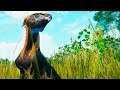 Família de Hypsilophodon! Manada de Estegossauros e Carnotauros Corredores | The Isle Evrima | PT/BR