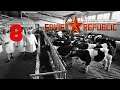 Livestock Farm - Workers & Resources Soviet Republic(Hard Mode)Part 8