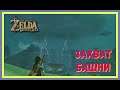 The Legend of Zelda - Breath of the Wild  КОЛДУНЫ ОДОЛЕЛИ \ #16
