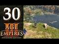 Прохождение Age of Empires 3: Definitive Edition #30 - Битва при Морристауне [Акт 1: Огонь]