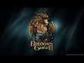 Baldur's Gate II: Shadows of Amn : Présentation et Impressions
