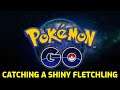 Pokémon GO - Catching a Shiny Fletchling