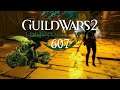 Guild Wars 2: Lebendige Welt 3 [LP] [Blind] [Deutsch] Part 607 - Prüfungen des Drachen