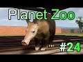 実況 動物観察の刑に処す！「Planet Zoo」#24