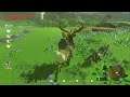 The legend of zelda breath of the wild Gameplay 63 (Switch) (La bête à deux lances) VF