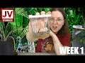 CATERPILLARS! - Insect Lore Butterfly Garden Kit: Week 1