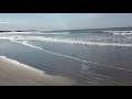 Sandpipers at Martinique Beach, Nova Scotia, Canada - 2/2