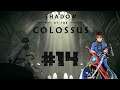 Shadow of the Colossus Semi-Blind Playthrough with Chaos, Michael & Slyroh part 14: Finicky Argus