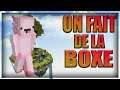 UNE GAME DE BOXE !? Minemen Minecraft (BOXING)