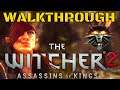 Witcher 2 Assassins Of Kings Walkthrough - Defeat the ARACHAS