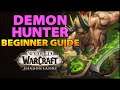 Demon Hunter Beginner Guide | Overview & Builds for ALL Specs (WoW Shadowlands)