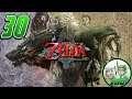 EKG: Zelda Twilight Princess HD: Wasting Everyone's Time (Campaign - Ep. 30)