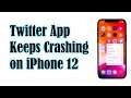 How To Fix Twitter That Keeps Crashing on iPhone 12 Mini After iOS 14.4