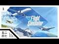 Microsoft Flight Simulator 2020 微軟模擬飛行 - THE SKY IS CALLING [1]