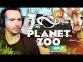On commence à avoir des PERTES ! 😭 ► Planet Zoo #8