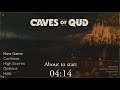 Stream - Caves of Qud The Wanderer Set 3