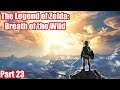 The Legend of Zelda: Breath of the Wild | Switch | Part 23