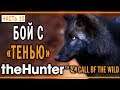 theHunter Call of the Wild #10 🐺 - Охота на Волка "Тень" - "Куатро Колинас"