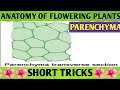 Trick to learn parenchyma | Anatomy of flowering plants|plant tissue | Biology Short tricks|NEET