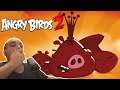 ANGRY BIRDS 2 (#87) - COMPLICOU!