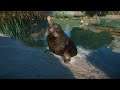 Planet Zoo (PC)(English) #99 10 Minutes of Grey Seals (Aquatic DLC)
